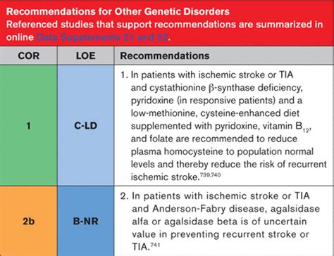 family stroke 2022|Practice Guidelines